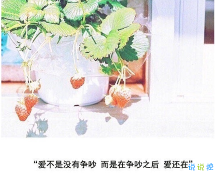 很唯美的愛情說說帶圖片大全 別因?yàn)樘珢垡粋€(gè)人而失去了自己4