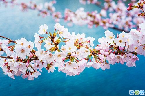 2019非主流經(jīng)典愛情說說帶圖片 很打動人的一些愛情真理3