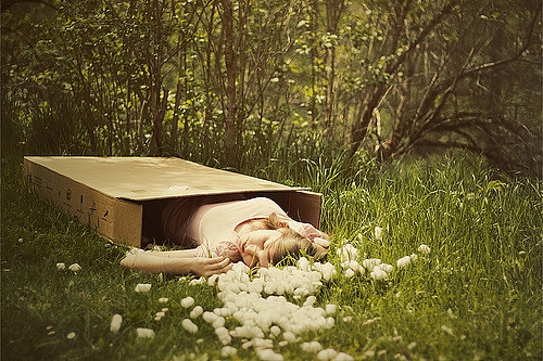 關于夏天的唯美文藝說說帶圖片 夏有彤云蔚然成風15