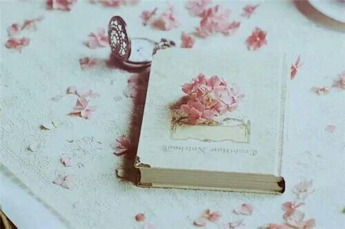 簡單美好生活的小清新詩意句子帶圖片8