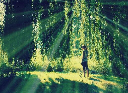 關(guān)于愛情中的失望和難受的說說帶圖片 失望攢夠了我自然會(huì)走2