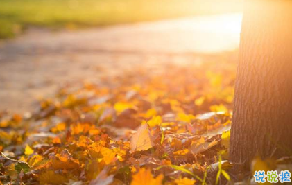 看透生活的傷感說說帶圖片精選 很失望的心情說說很無能為力10