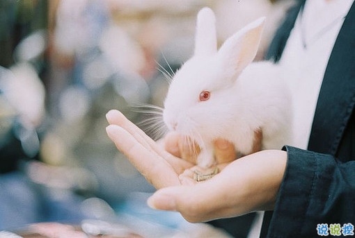 關(guān)于愛情簡(jiǎn)單又有道理的句子配圖 愛情是一個(gè)人的天荒地老11