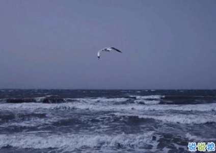 致自己的一句話個(gè)性說說帶圖片 想要訴說自己心情的說說7