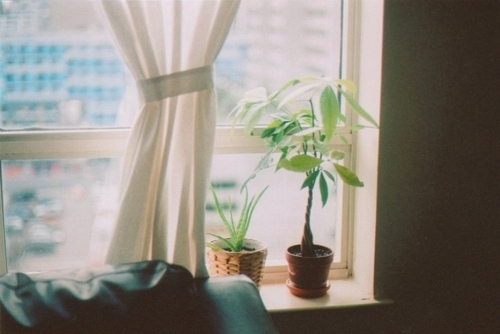 甜蜜浪漫情話只想說給你聽的說說帶圖片 想化作一陣風(fēng)輕柔的撫過你3