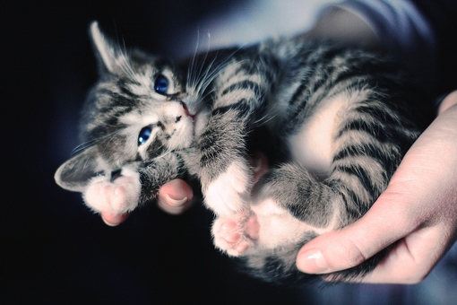 痛到快不能呼吸的傷感說說帶圖片 感到心情低落時發(fā)的說說13