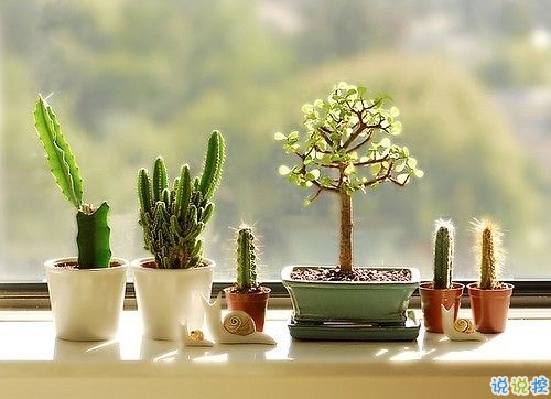 2019四月朋友圈小清新句子帶圖片 四月你好淡淡的陽光淡淡的風(fēng)2