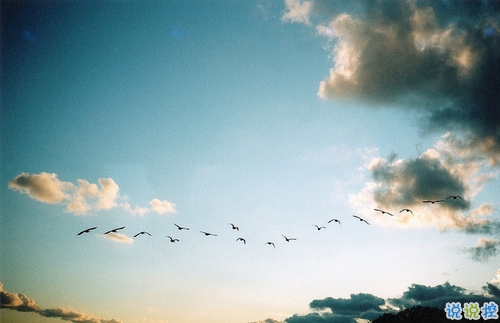 2019微信樂觀勵(lì)志的句子帶圖片 經(jīng)典勵(lì)志說說心情短語3