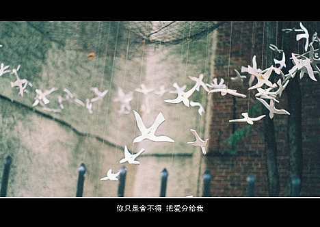 超傷感難過悲傷的愛情說說 你是我枯水年紀里的一場雨15