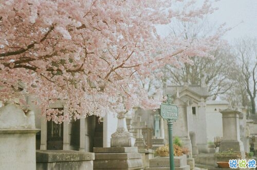 真正喜歡一個(gè)人是什么樣子？1