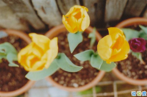 日升日落讓人感到傷感的說說 時間和愛情帶給我們的憂傷傷感說說1