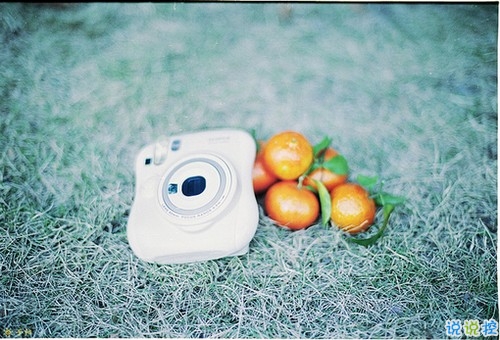 愛情里的傷痛讓我們成長的愛情說說 學(xué)會怎么去愛的愛情說說1