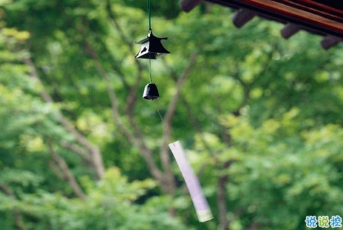 很精辟人生感悟的句子和圖片 寫人生感悟的句子帶圖片20186