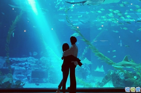 很甜的愛情說說配圖：小學(xué)時，想和喜歡的人同桌；初中時，想和喜歡的人同班6