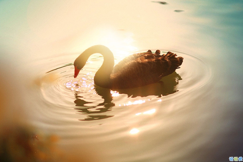 抖音最火曬結(jié)婚證的說(shuō)說(shuō) 2019領(lǐng)結(jié)婚證的朋友圈文藝簡(jiǎn)短1