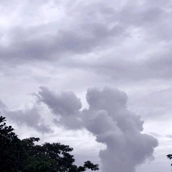 關于人生和夢想的很現(xiàn)實的經典哲理說說帶圖片15