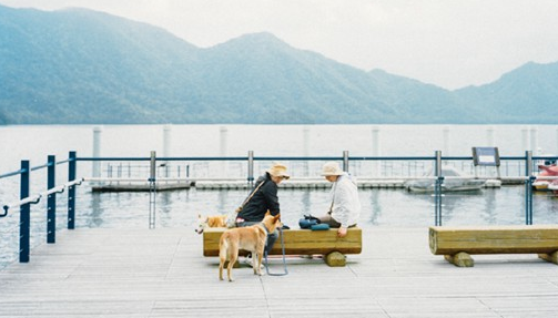 關(guān)于生活的哲理有道理說說帶圖片 生活總是這樣不能叫人處處都滿意但我們還要熱情地活下去7