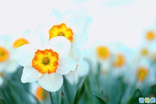 2019告別二月迎接三月勵(lì)志說說配圖 三月你好朋友圈早安心語2