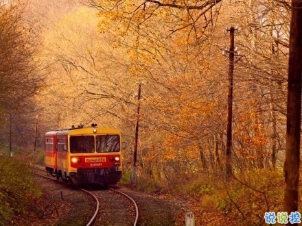 感悟生活的早安心情說(shuō)說(shuō) 陽(yáng)光這么好別辜負(fù)了今天7