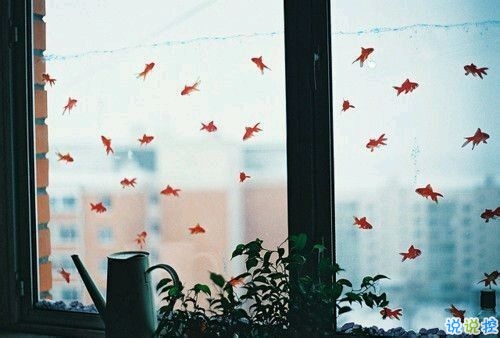 抖音有創(chuàng)意的個性說說大全 獨一無二很特別的說說20191