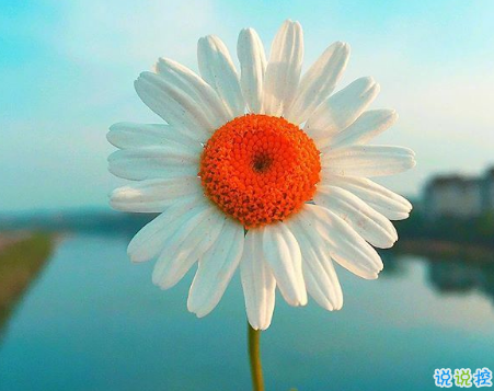 微信朋友圈可愛句子配圖 女生朋友圈俏皮可愛的愛情句子帶圖片9