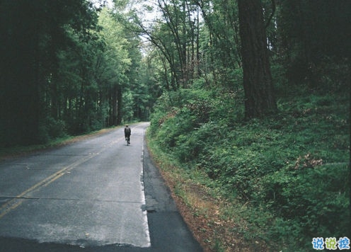 那些抖音中唯美的小清新圖片句子 浮世萬(wàn)千吾愛(ài)有三4