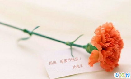 關(guān)于2018母親節(jié)說說朋友圈配圖 記得對(duì)媽媽說一句我愛你9