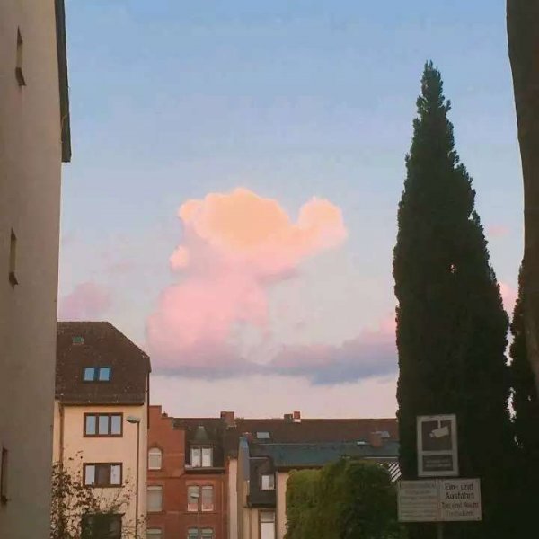 關于人生和夢想的很現(xiàn)實的經典哲理說說帶圖片5