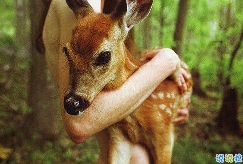 突然不喜歡一個(gè)人/放棄一個(gè)人是一種什么樣的感受？10