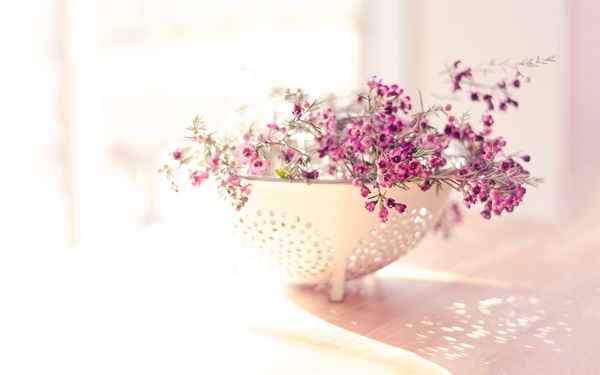 2019谷雨微信祝福語說說 谷雨快樂心情說說大全1