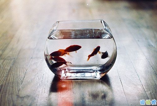 一句話簡單心情說說2019 很日常的朋友圈說說大全1