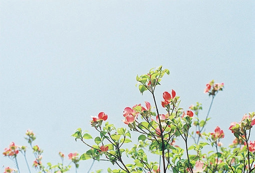 喜歡一個(gè)人的甜蜜小情話說說帶圖片 不愿再研墨執(zhí)筆因?yàn)樽掷镄虚g全是你10