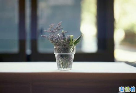 經(jīng)典有道理的說說帶圖片：我讀過很多書，但后來大部分都被我忘記了6