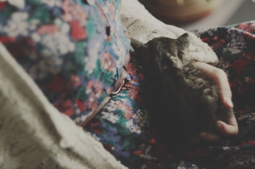 痛到快不能呼吸的傷感說說帶圖片 感到心情低落時發(fā)的說說2