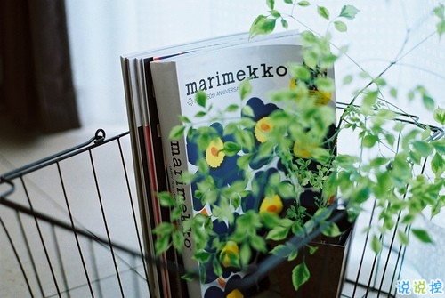 走心的唯美簡單句子大全 很用心的一句話唯美句子2