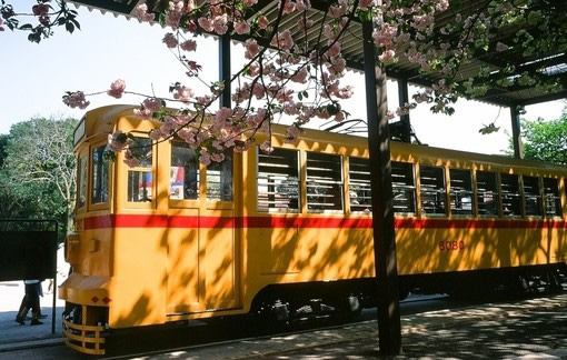 關(guān)于人生哲理和現(xiàn)實經(jīng)歷的一句話簡單精辟的說說帶圖片3