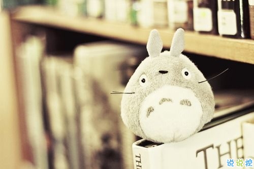 女生文藝傷感說(shuō)說(shuō)大全訴說(shuō)感受 對(duì)生活有感而發(fā)的說(shuō)說(shuō)2