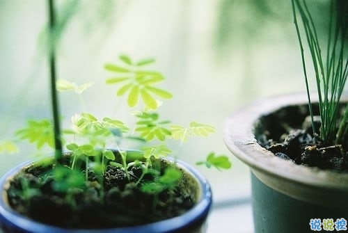 值得收藏的人生大道理勵(lì)志說(shuō)說(shuō)帶圖片 好聽(tīng)的激勵(lì)人心的說(shuō)說(shuō)配圖6