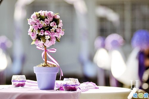 2019四月朋友圈小清新句子帶圖片 四月你好淡淡的陽光淡淡的風(fēng)11