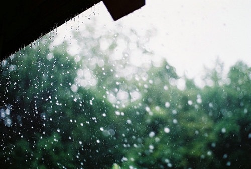 關(guān)于愛情的簡單有哲理的句子帶圖片 不要貪心找到那個(gè)對的人就第一時(shí)間決定吧4