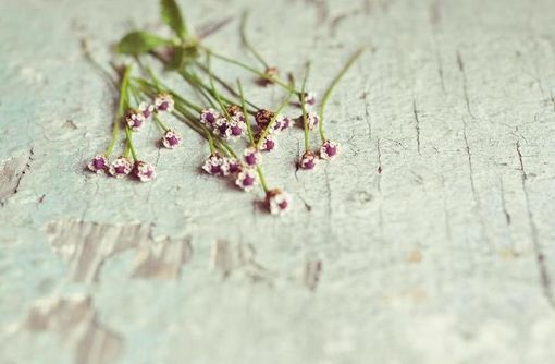 經(jīng)典的英文哲理說說帶圖片 小清新和文字控喜歡的英文說說12