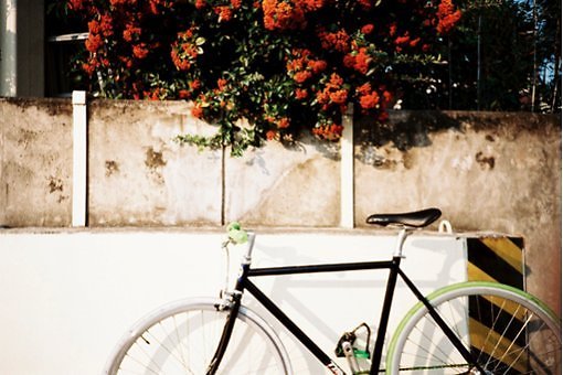 適合喜歡一個(gè)人時(shí)發(fā)的甜蜜愛(ài)情說(shuō)說(shuō)帶圖片 ?有你有我有吃的就又是美好的一天6