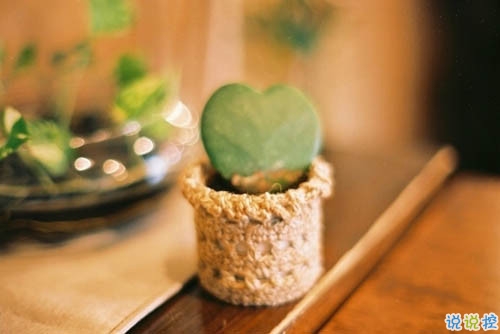 有些傷感的關(guān)于人生和成長(zhǎng)的說說帶圖片 生活的本質(zhì)就是離別14