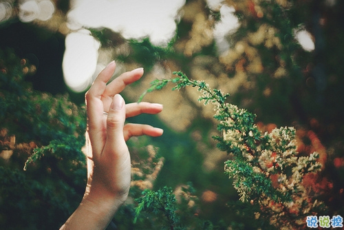 qq空間勵(lì)志說說帶圖片2019 00后都愛的勵(lì)志句子年輕人必備8