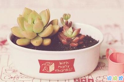 承蒙你出現，夠我喜歡好多年11