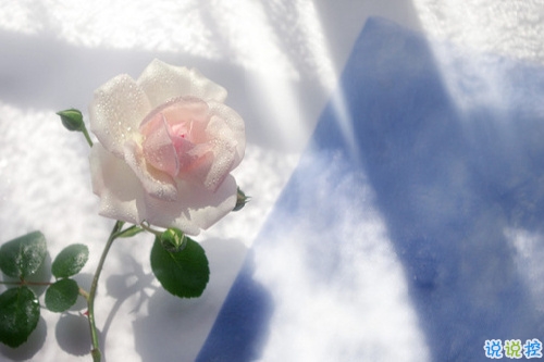 最新有內涵的經典說說2019 又好聽又勵志的微信經典說說1