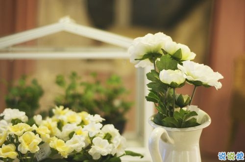 2019情人節(jié)朋友圈說說心情短語 抖音最火情人節(jié)說說大全2