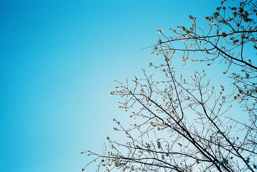 愛情中的孤獨(dú)寂寞說說 每個(gè)人都曾在愛情中流淚的傷感說說2