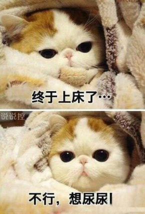 關(guān)于天冷的搞笑說說，形容天氣冷的幽默句子