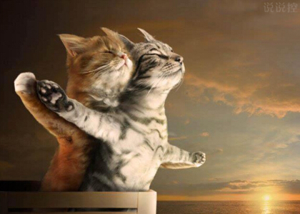 搞笑愛(ài)情說(shuō)說(shuō)心情短語(yǔ)，搞笑情感說(shuō)說(shuō)大全